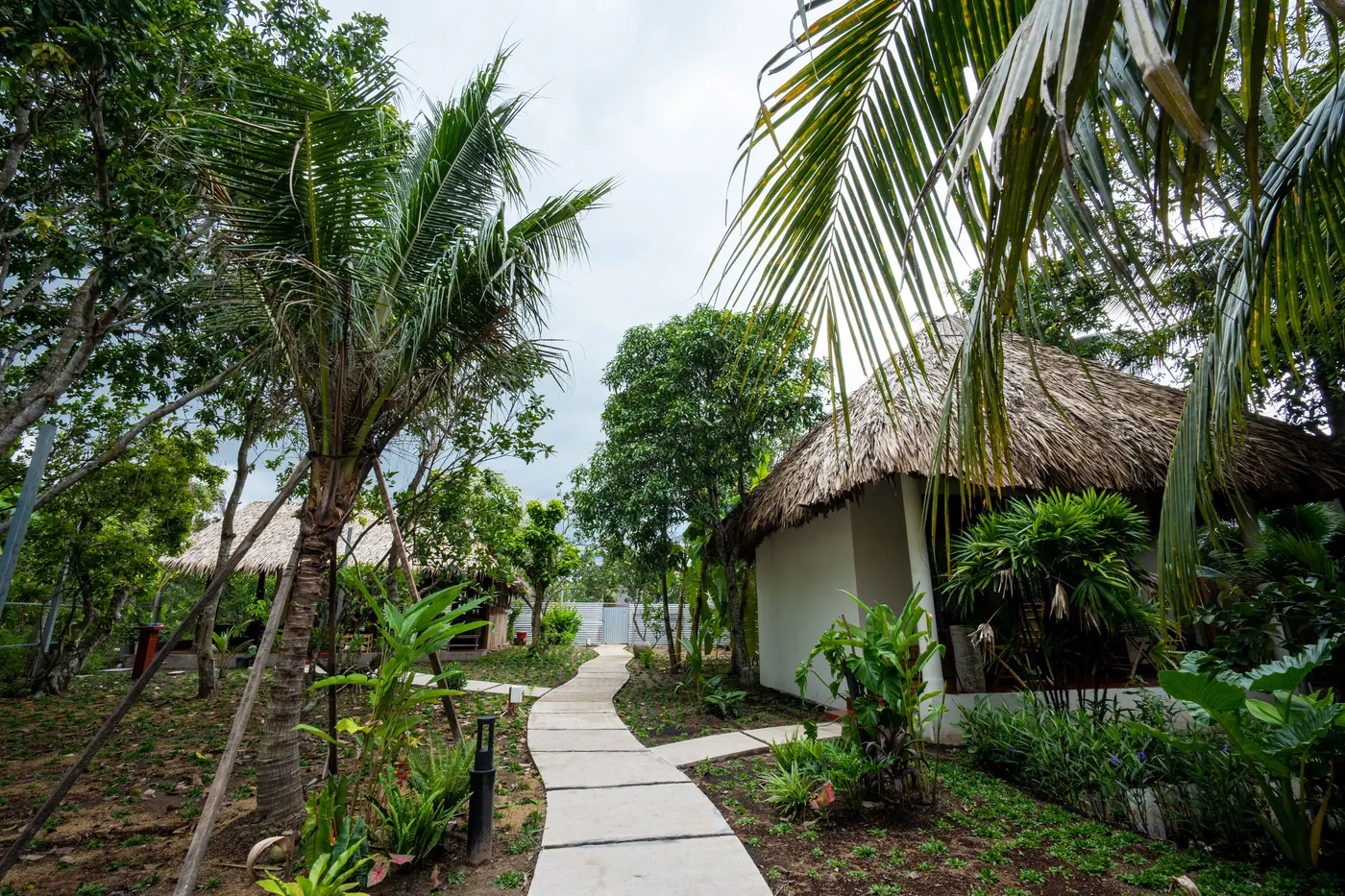 Garden path between the bungalows at Mango Home