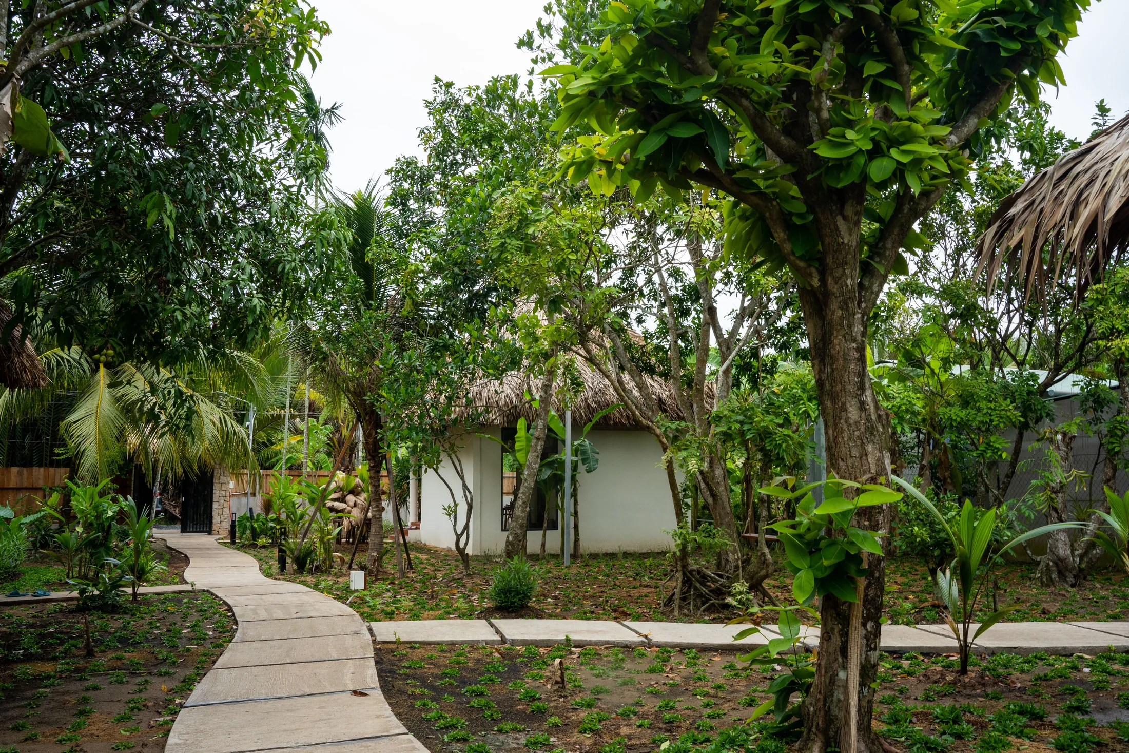 Garden and tropical greenery around Mango Home