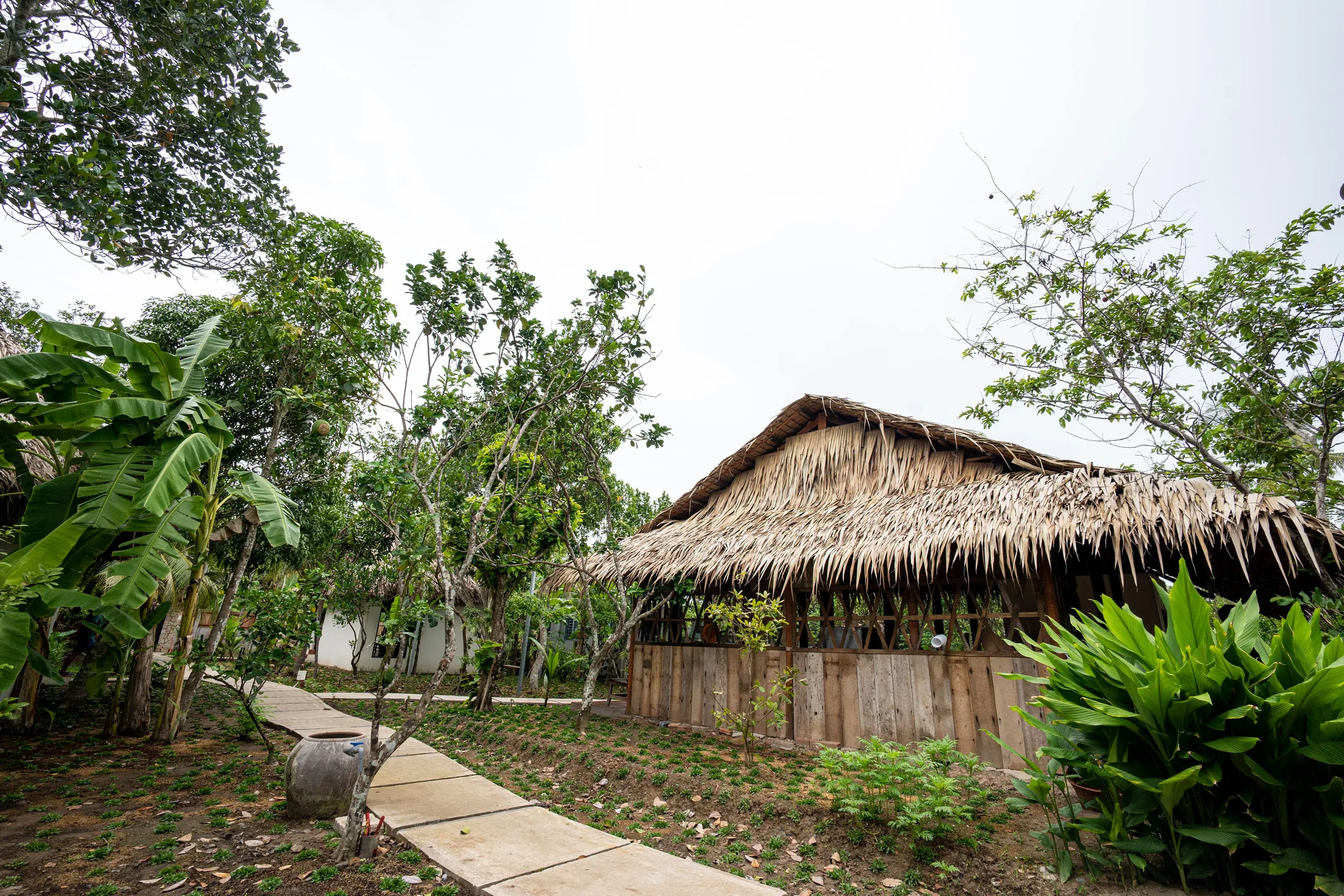 Garden walkway lined with tropical plants at Mango Home