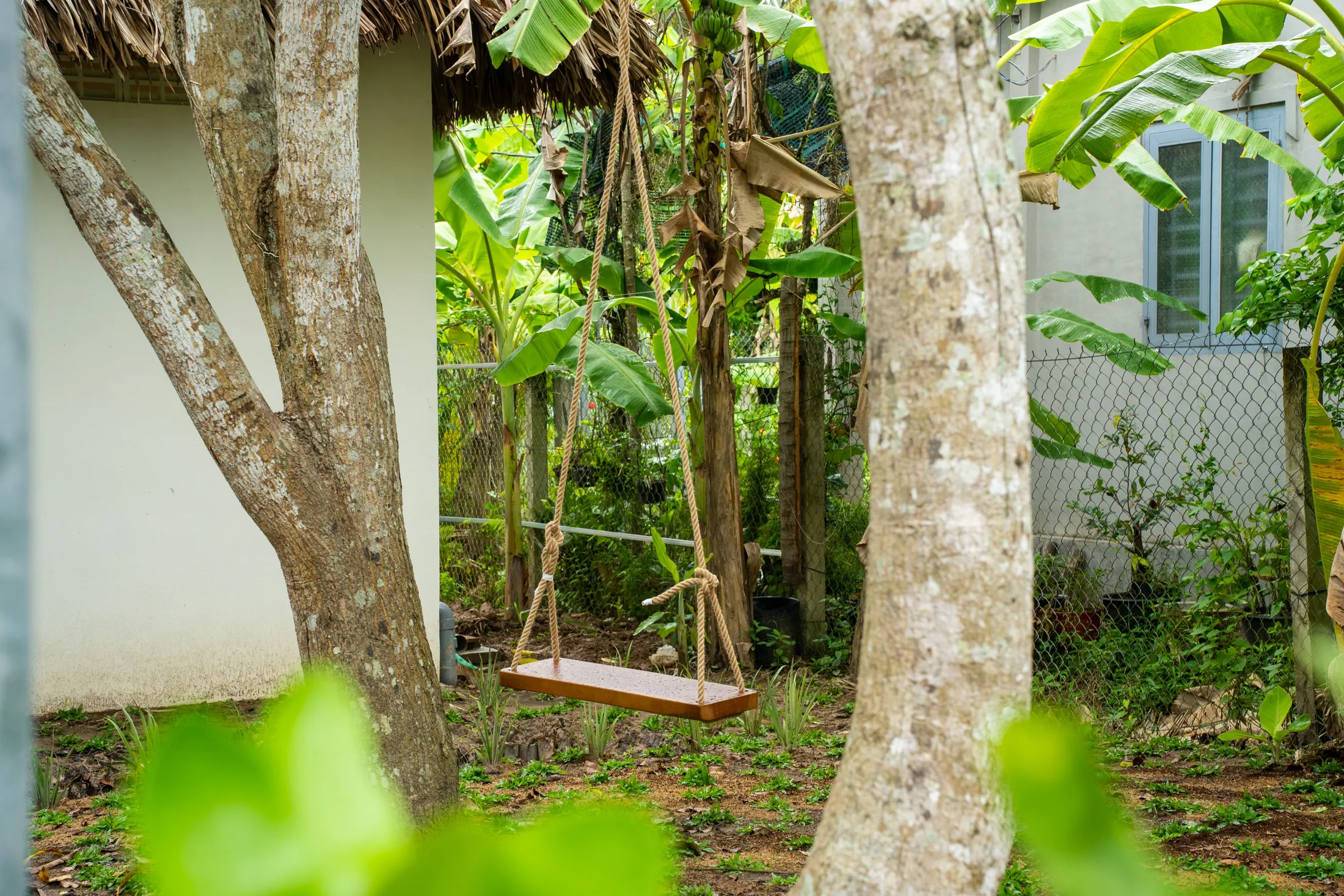 Garden swing among the trees at Mango Home