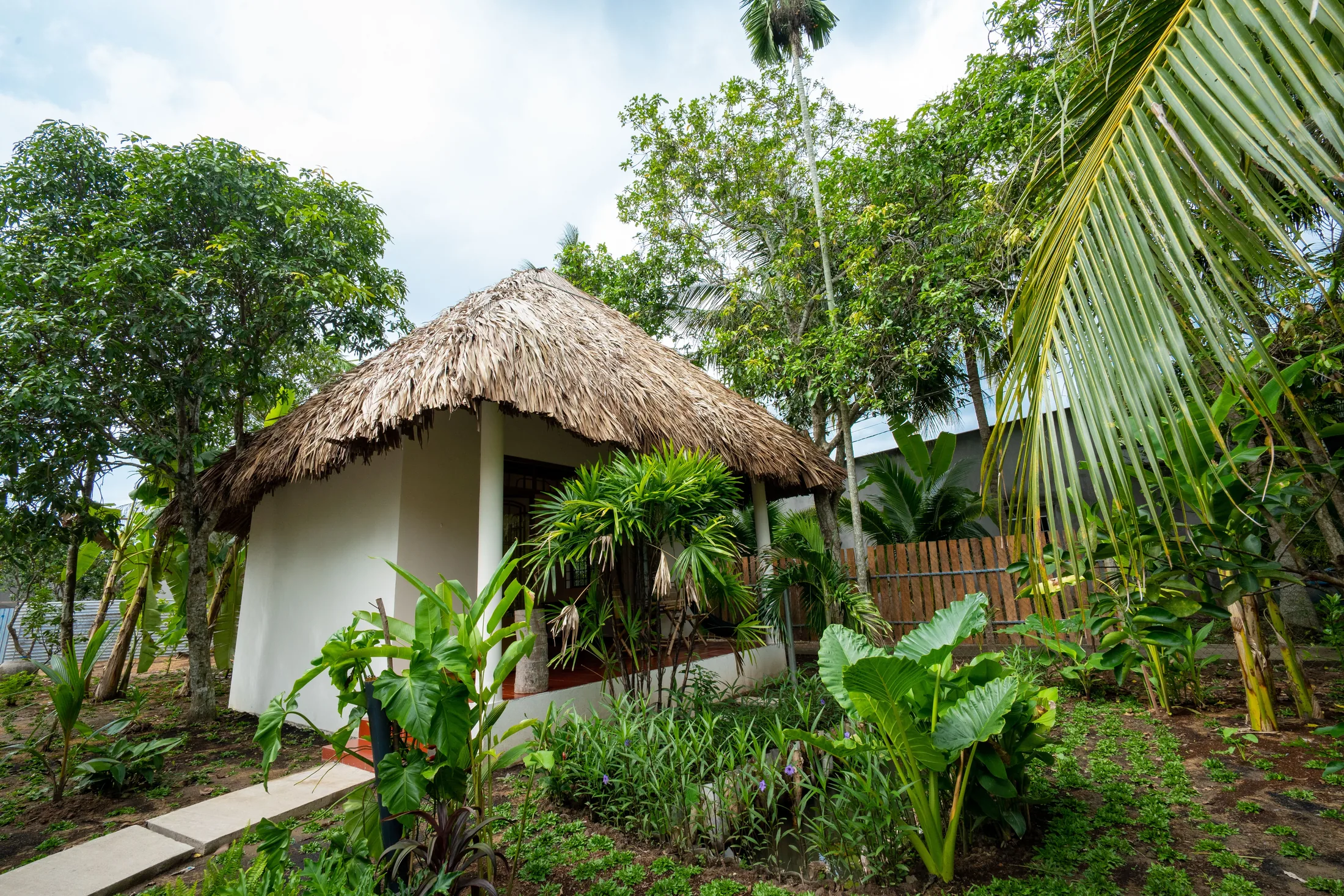 Mango Suite bungalow among trees at Mango Home